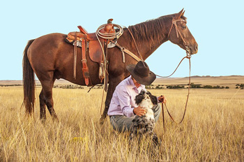 cowboy stroking dog